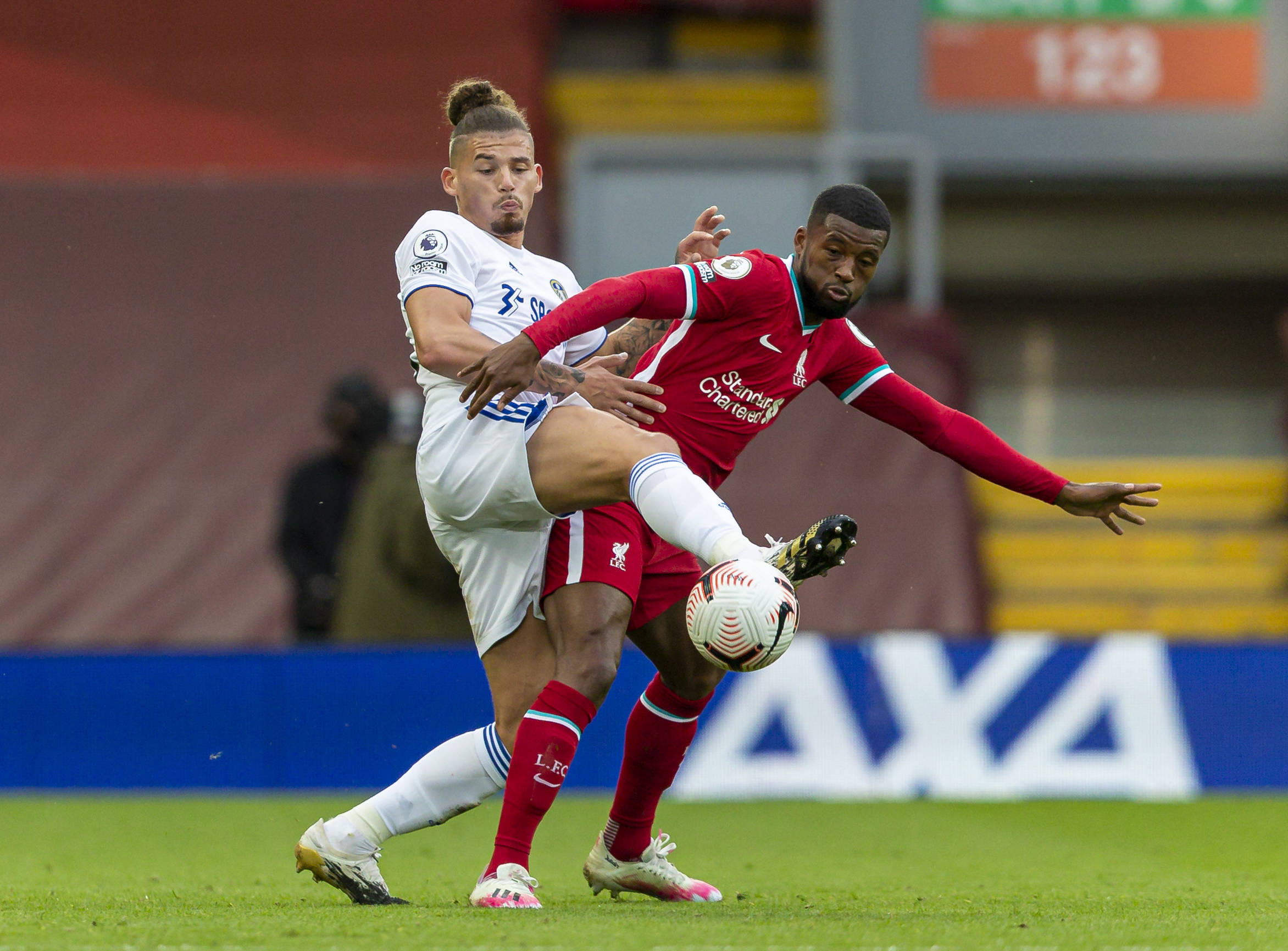 冠的重要一 冠的重要一