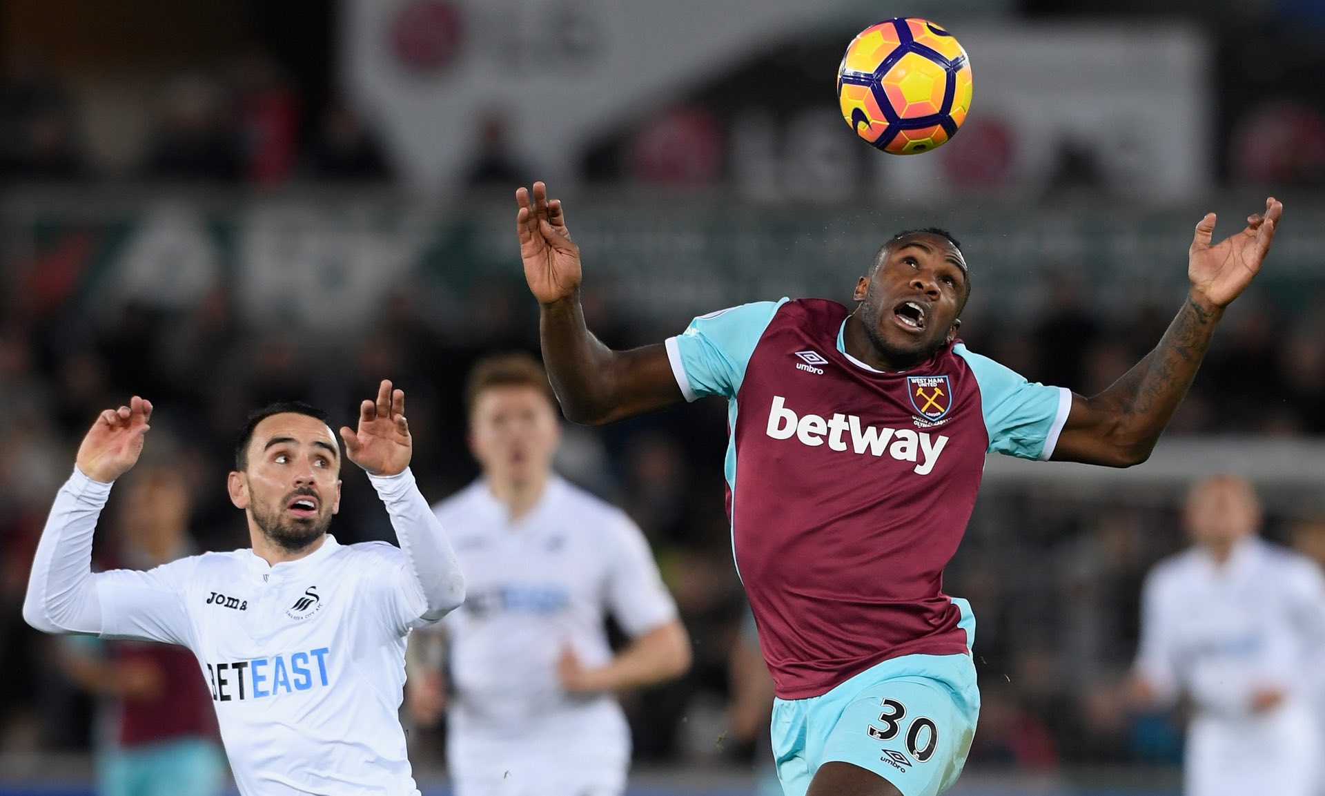 个人能力单 个人能力单